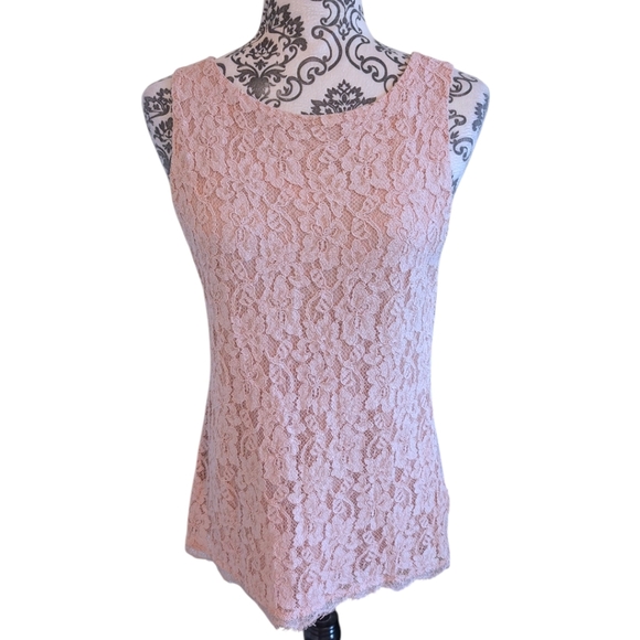 Aritzia Babaton Carter Blouse Glove Pink Lace Sheer Open Back Women's size Small - Picture 2 of 11